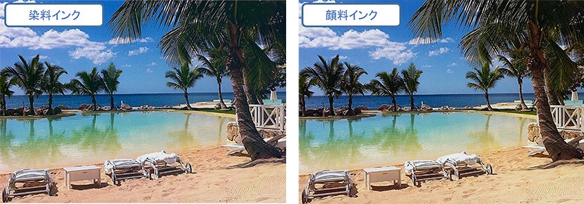 写真印刷結果