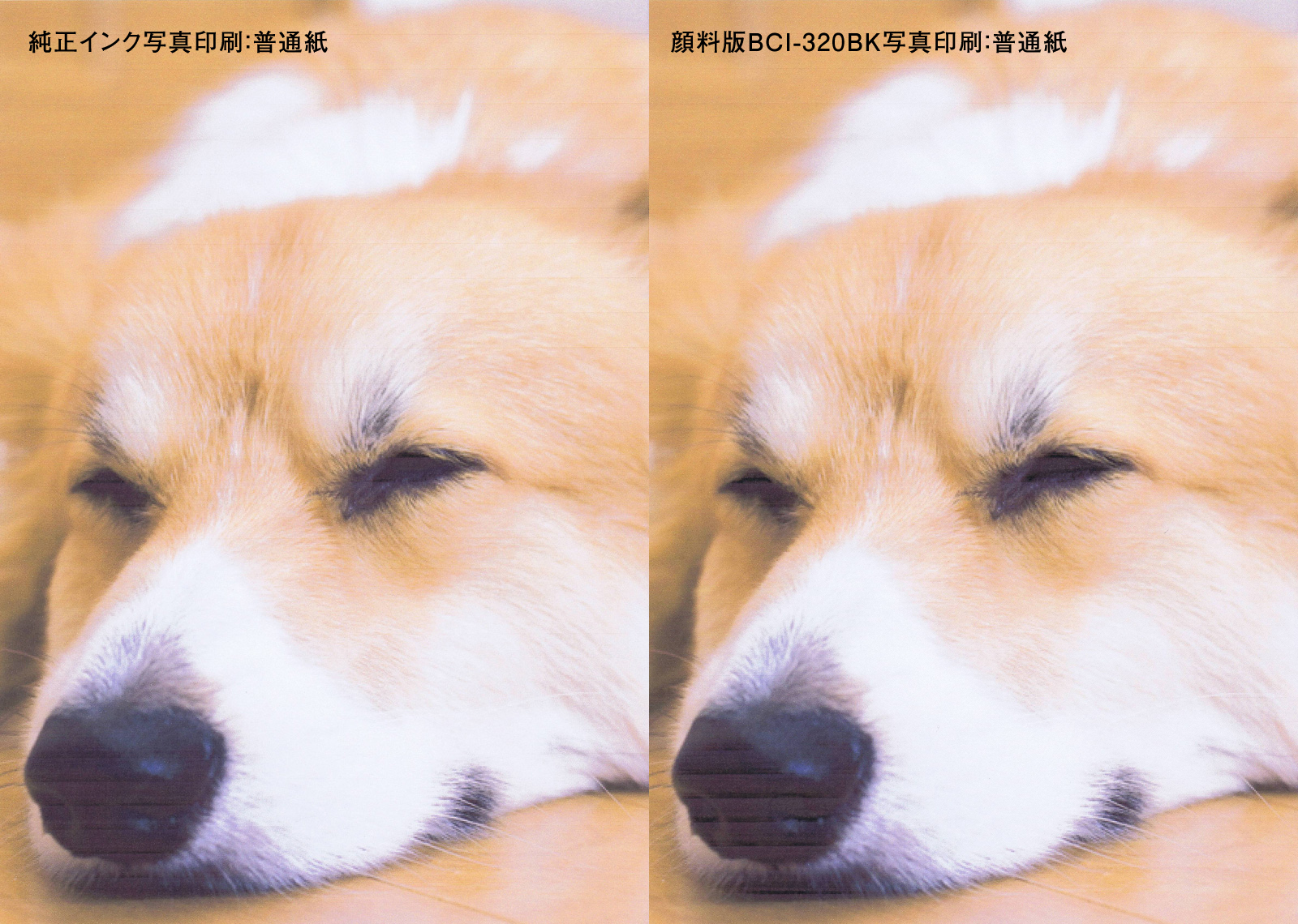 インクの比較
