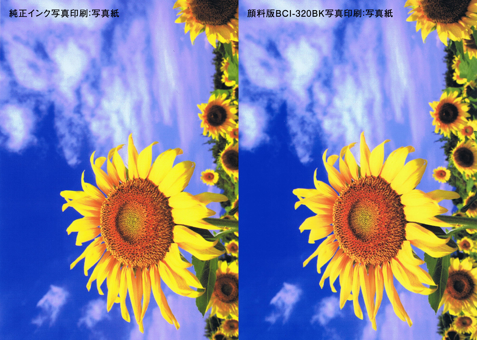 インクの比較