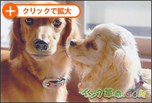 イメージ:印刷出力紙