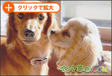 イメージ：印刷出力紙