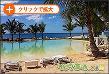 イメージ：出力紙結果サムネイル