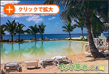 イメージ：出力紙結果サムネイル