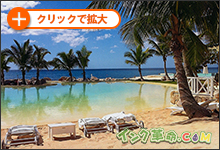 イメージ：出力紙結果サムネイル