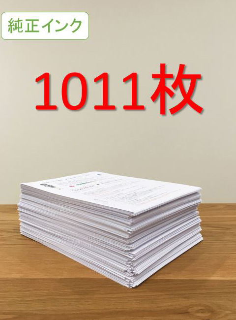 純正インク印刷結果