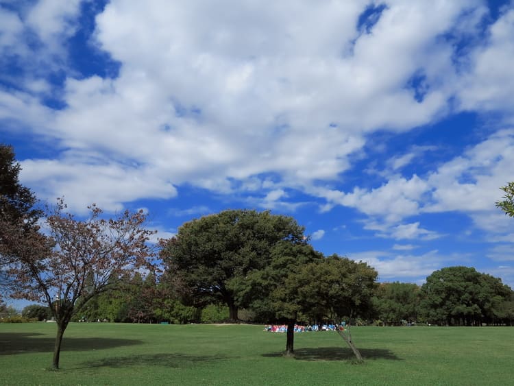 公園