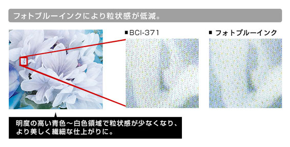 フォトブルーイメージ画像